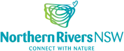 Website Design & SEO Northern Rivers NSW - JezNorthWeb